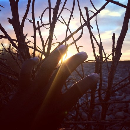 10735595_735400826551263_1271620948_n