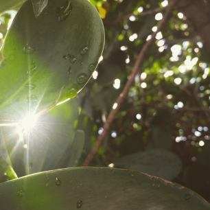 11109313_1654340571451146_1152077395946457953_o