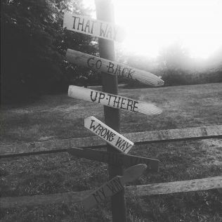 14052620_169912656782767_6090411265228800000_n