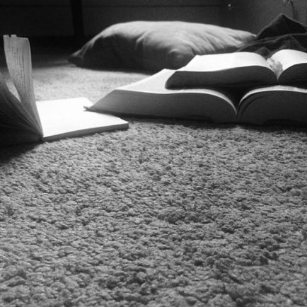 14478592_1775894245987145_2178221947253424128_n