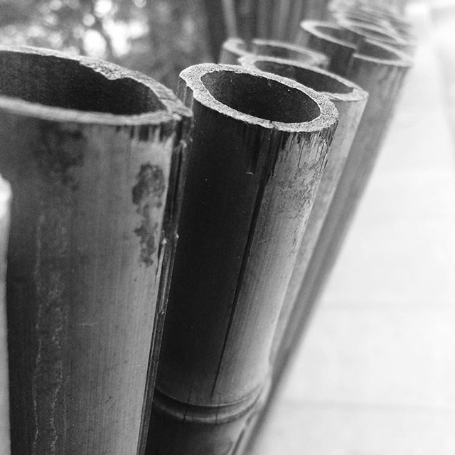 14736401_265312280532989_4205973963014144000_n