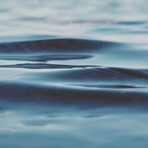 16110358_1301789839842461_4065742791173472256_n