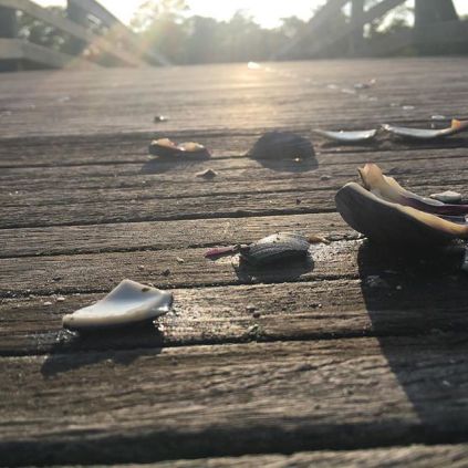 19121831_469256026749123_3949482261308506112_n