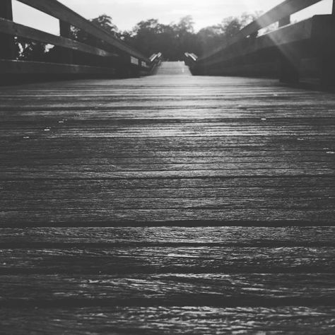 19955295_248028179035396_6091039906707013632_n