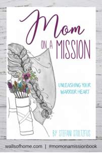 mom-on-a-mission-book